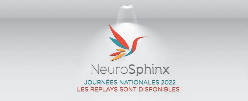 Replays journées nationales NeuroSphinx 2022